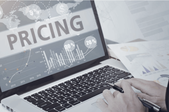 The Online Pricing Challenge
